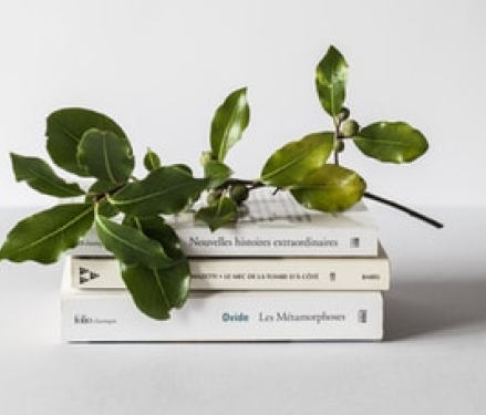 Photo of a stack of white books with a leaf